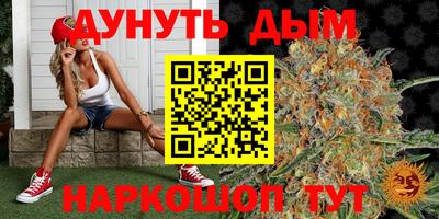 молекула духа Нальчик